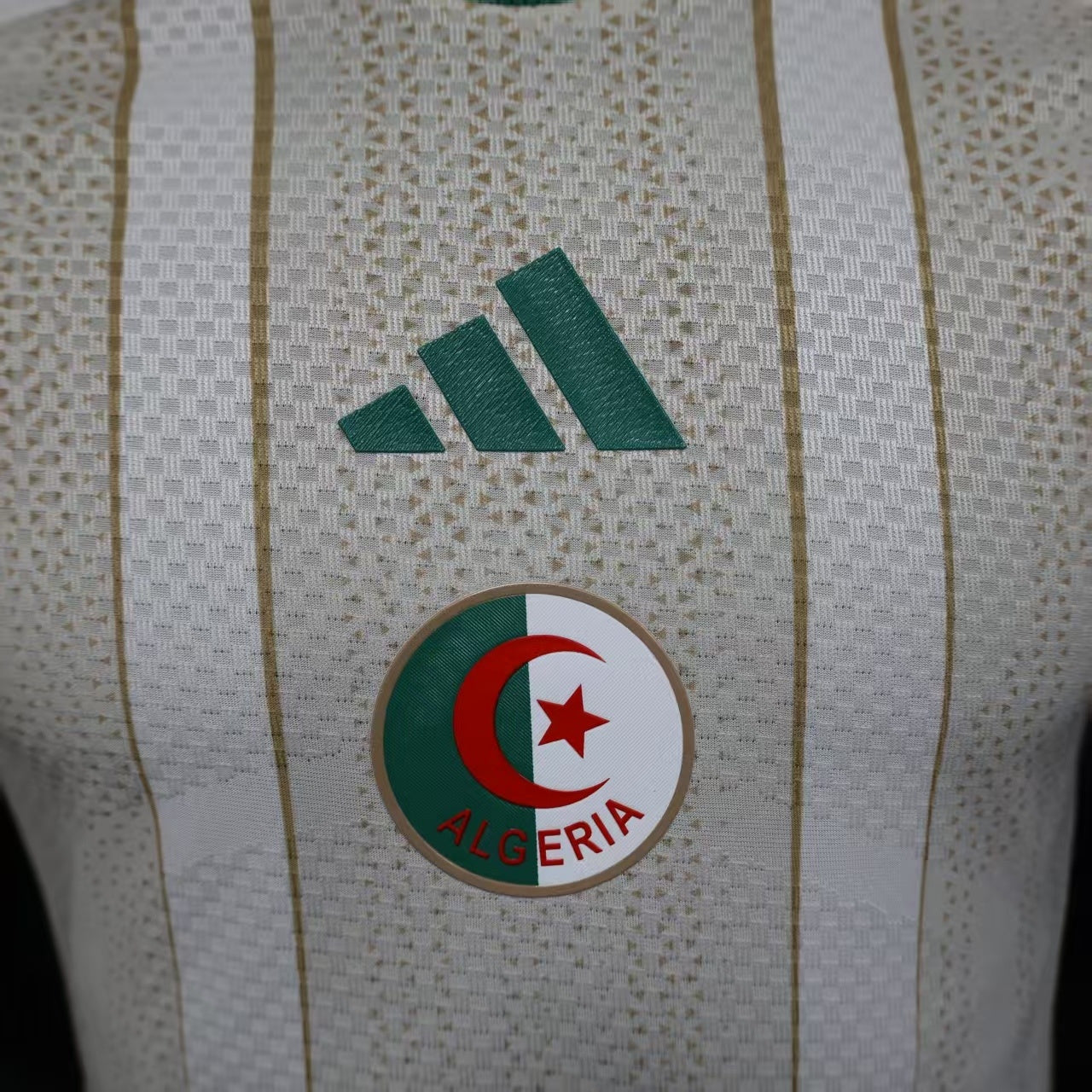 Algeria 2026 Word Cup Home Jersey (Player Version)