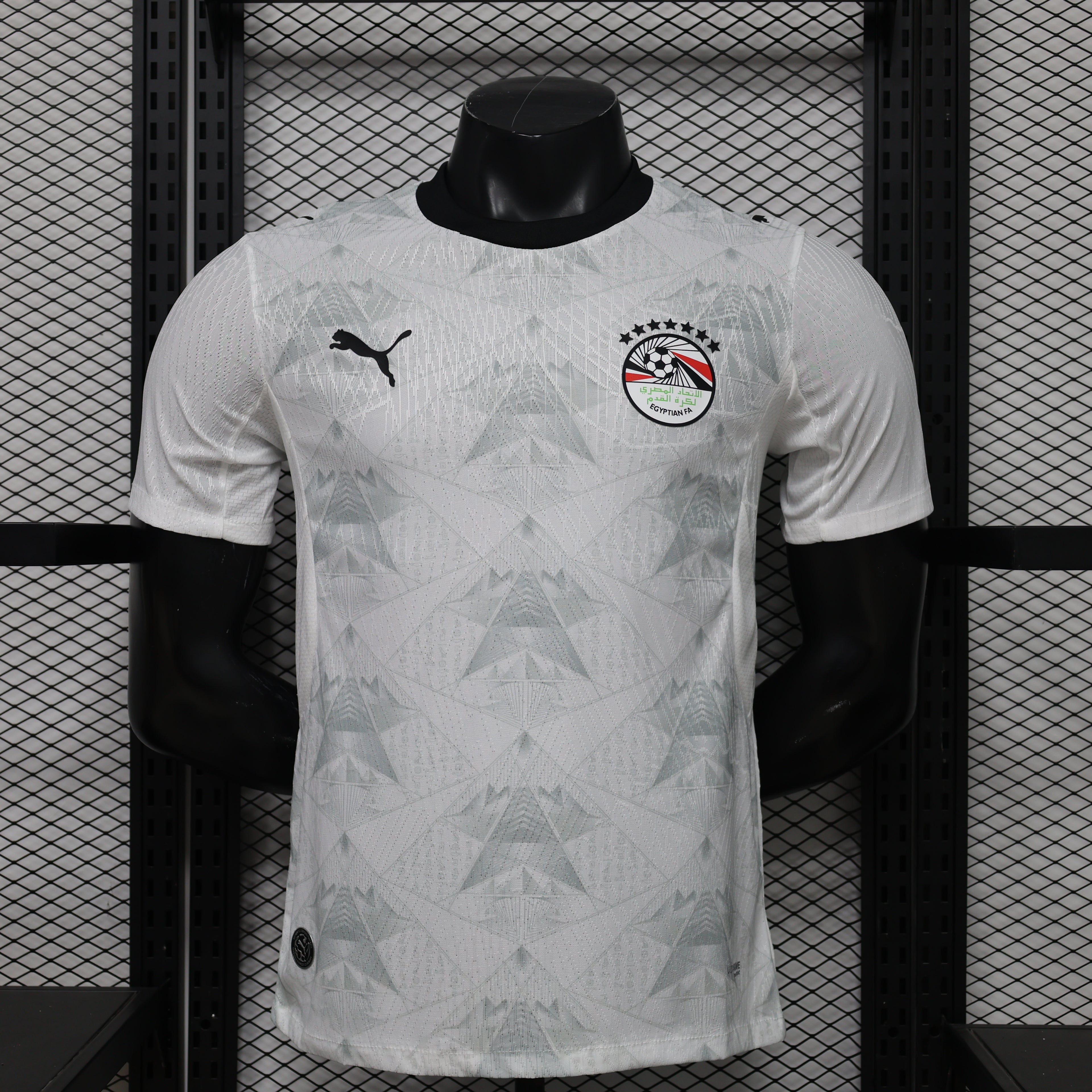 Egypt World Cup 2026 Away Jersey (Player Version)