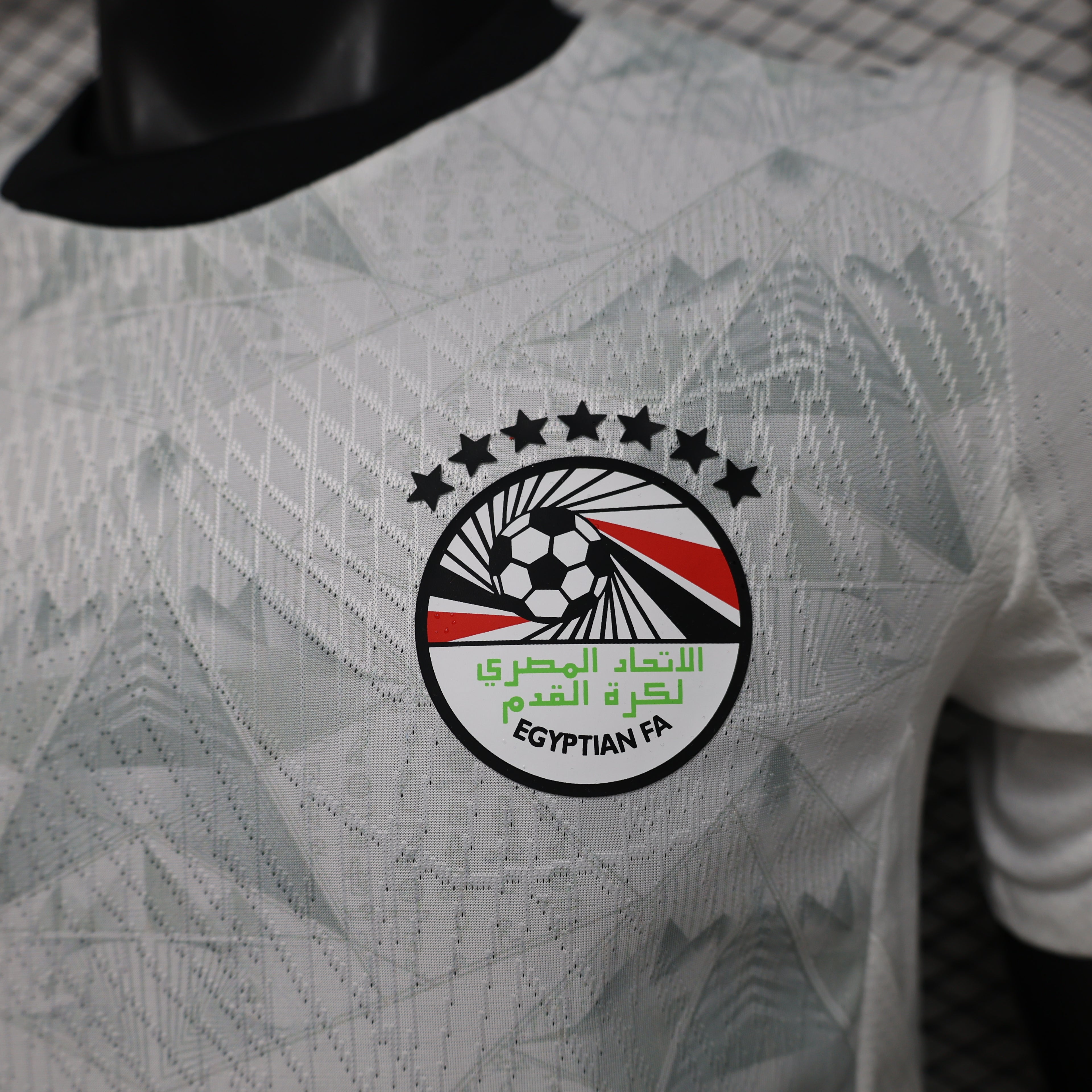 Egypt World Cup 2026 Away Jersey (Player Version)